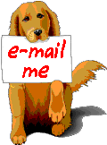 L'email du golden retriever