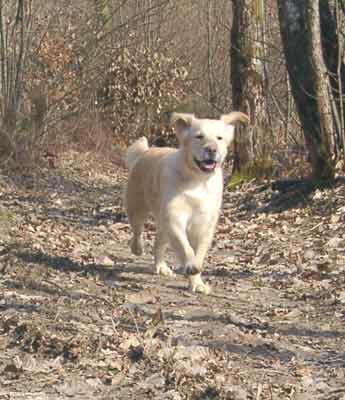 Nessie en promenade le 25/02/01