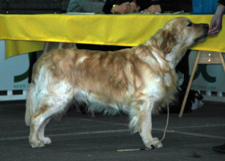 Balto des Cimes Etoiles (3 ans)  Montluon